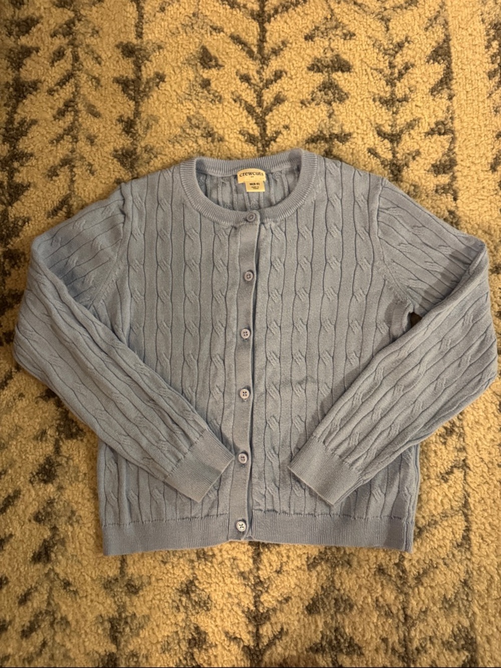 CREWCUTS blue cardigan